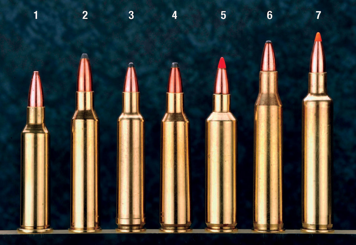 Good choices for a varmint cartridge in both commercial and wildcat versions include the (1) .219 Wasp, (2) .225 Winchester, (3) .224 Weatherby, (4) .22-250 Remington, (5) .22-250 Ackley Improved, (6) .220 Swift and the (7) .220 Weatherby Rocket.